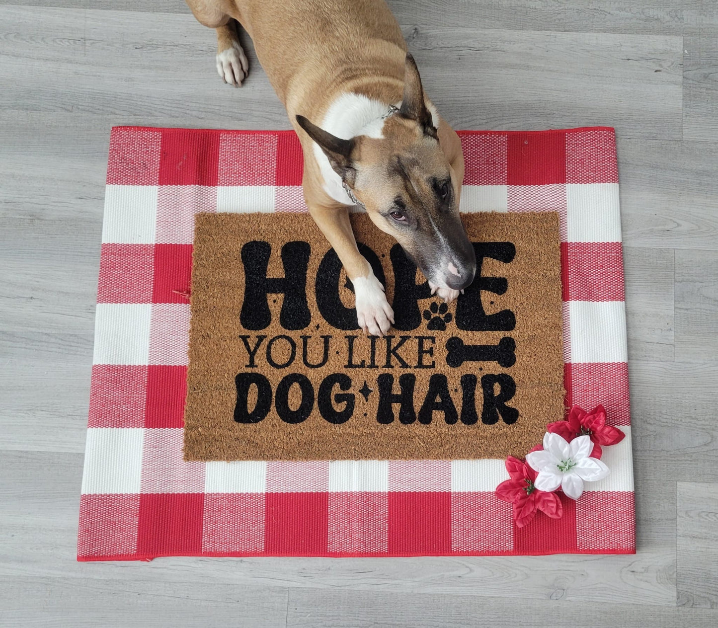 Hope You Like Dog Hair